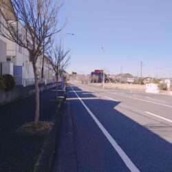 南側道路(周辺)